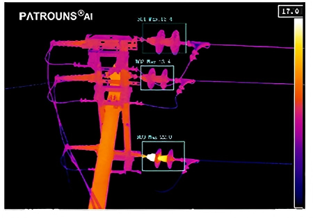 Distribution Network Inspection